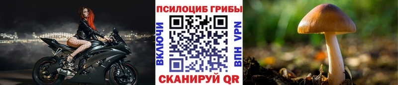 Галлюциногенные грибы Psilocybe  Калининец 
